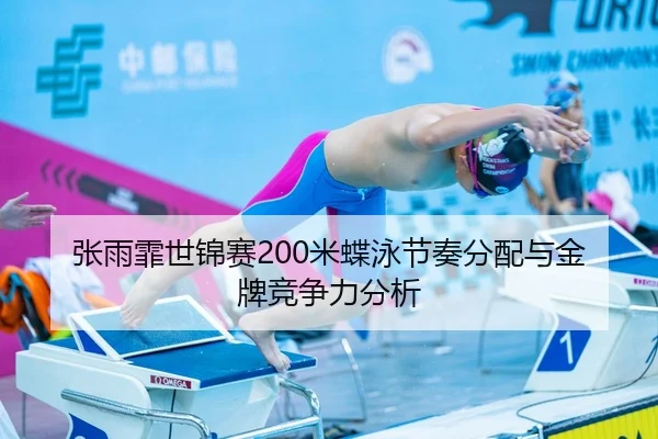zhang-yu-fei-shi-jin-sai-mi-die-yong-jie-zou-fen-pei-yu-jin-pai-jing-zheng-li-fen-xi-3-233.jpg