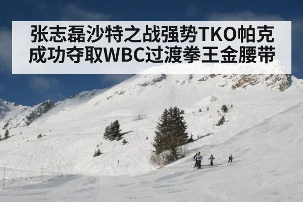 张志磊沙特之战强势TKO帕克成功夺取WBC过渡拳王金腰带